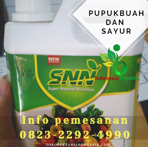 ✅LIMITED..//o823*2292*499o. ✅TOKO pupuk padi dengan garam Sinabang, TEMPAT pupuk padi dan fungsinya Kota Banda Aceh, JUAL pupuk daun padi Kota Langsa