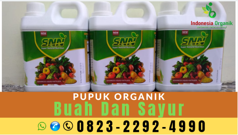 MELIMPAH HUB o823 2292 499o PRODUSEN pupuk untuk 