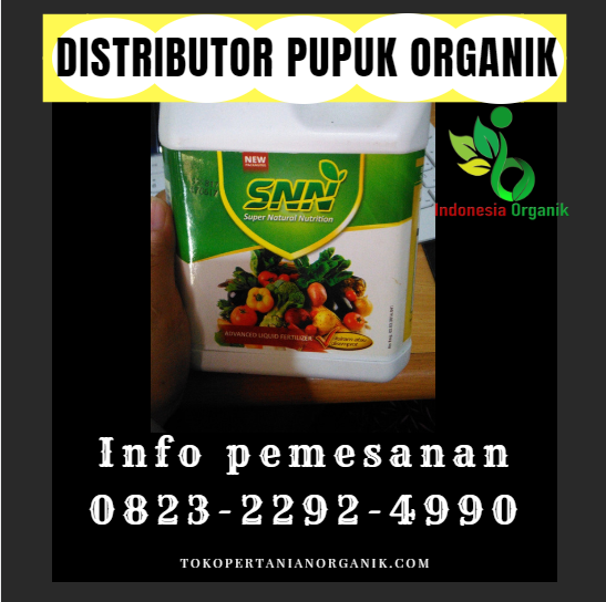 ☑️MURAH_o823*2292*499o. ☑️JUAL pupuk agar padi bernas Aceh Singkil, DISTRIBUTOR pupuk akar padi Singkil, PRODUSEN pupuk untuk padi asem aseman Aceh Tamiang