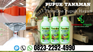 obat hama alami Archives - TERBAIK-Distributor pupuk ...