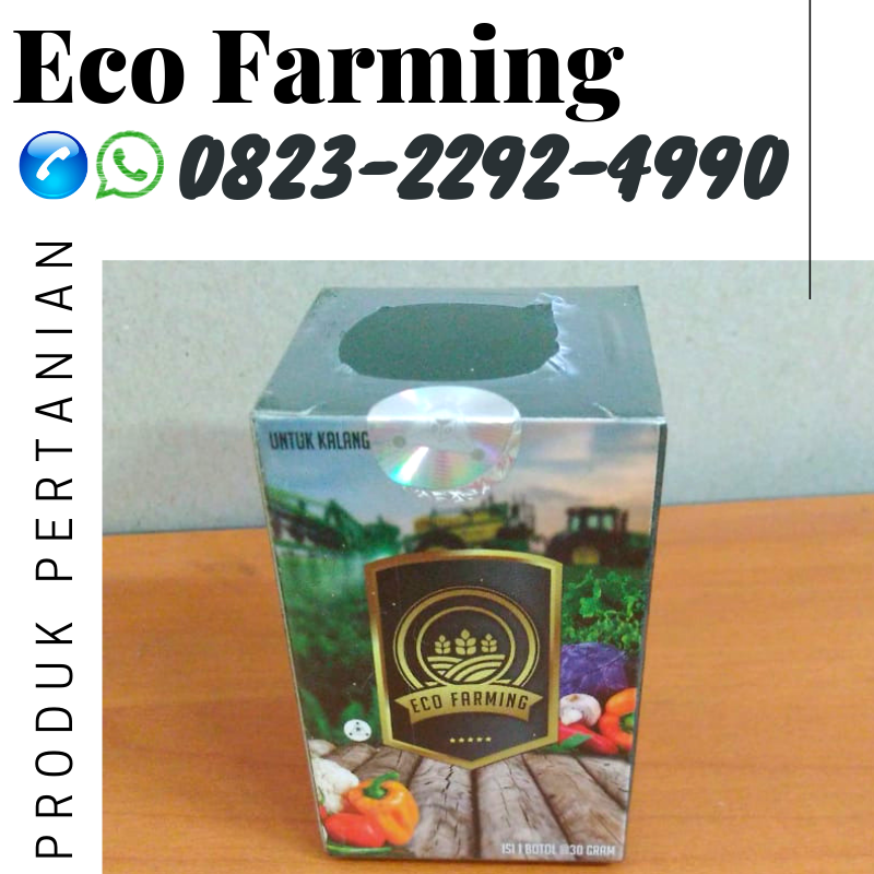 ✅PENAWARAN_0823*2292*4990. JUAL pupuk eco farming hama nasa Makassar, DISTRIBUTOR pupuk eco farming hama anggrek Kepulauan Selayar, HARGA pupuk eco farming hama cabe Benteng