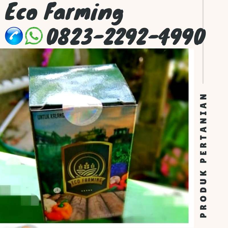 ✅AGRARIA_0823*2292*4990. PRODUSEN pupuk eco farming hama pos Bulukumba, TEMPAT pupuk eco farming hama tanaman Bantaeng, SUPPLIER pupuk eco farming pembasmi hama Bantaeng