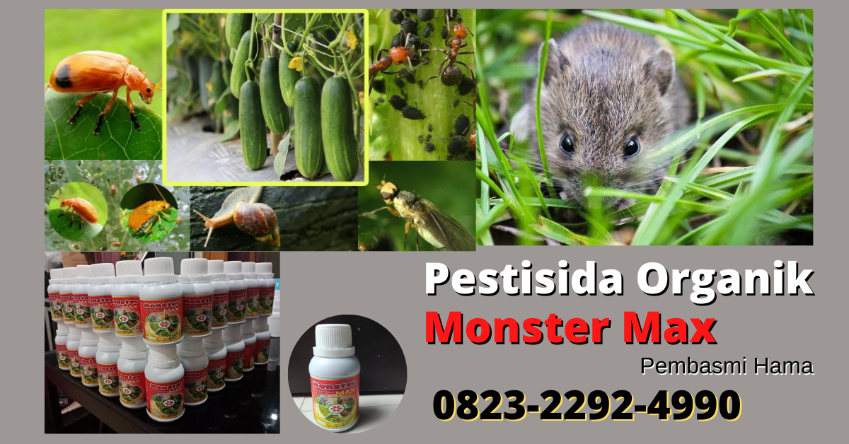O823*2292*499O, Jual pestisida organik untuk padi di Atambua, Harga pestisida organik untuk ulat ...