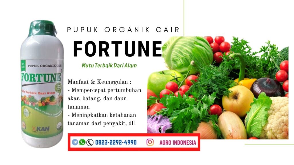  ORGANIK HARGA KHUSUS TELP 0823 2292 4990 GROSIR e 