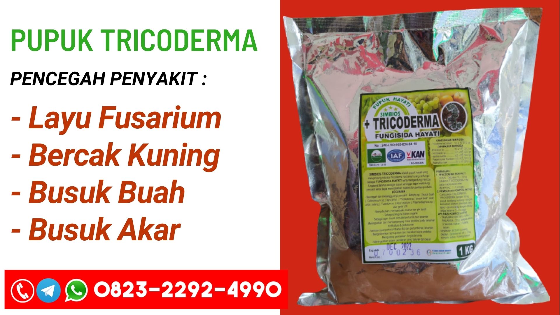 AGEN Pupuk layu fusarium pada bawang merah Tabau, DISTRIBUTOR Pupuk fungisida layu fusarium bawang merah Tawau, Pupuk pengendalian layu fusarium pada bawang merah Serawak, Pupuk jurnal layu fusarium pada bawang merah Kuching, Pupuk gambar layu fusarium, Pupuk pengobatan layu fusarium, Pupuk pengobatan layu fusarium, Pupuk pengertian layu fusarium, Pupuk layu fusarium cabai, Pupuk layu fusarium cabai, Pupuk gejala layu fusarium cabai