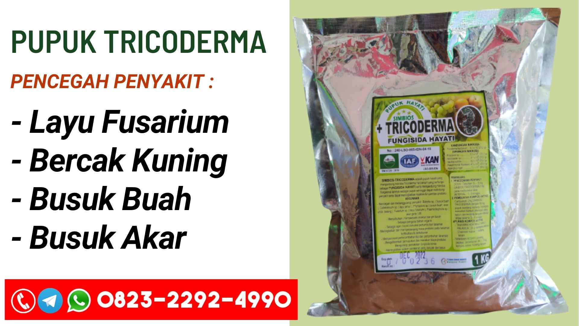 DISTRIBUTOR Pupuk fungisida layu fusarium bawang merah Tawau, AGEN Pupuk pengendalian layu fusarium pada bawang merah Serawak, Pupuk jurnal layu fusarium pada bawang merah Kuching, Pupuk gambar layu fusarium Bengkayang, Pupuk pengobatan layu fusarium, Pupuk pengertian layu fusarium, Pupuk pengertian layu fusarium, Pupuk layu fusarium cabai, Pupuk layu fusarium cabai, Pupuk gejala layu fusarium cabai, Pupuk layu fusarium pada cabai