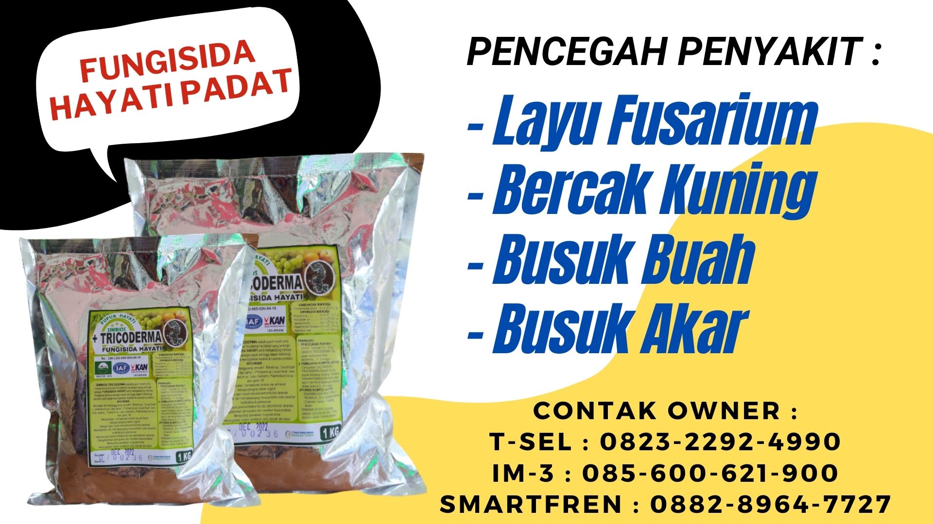 GROSIR Pupuk layu fusarium cabai Entikong, HARGA Pupuk layu fusarium cabai pdf Serikin, Pupuk gejala layu fusarium cabai Bau, Pupuk layu fusarium pada cabai pdf Divisi Serian, Pupuk penyakit layu fusarium cabai, Pupuk mengatasi layu fusarium cabe, Pupuk mengatasi layu fusarium cabe, Pupuk obat layu fusarium cabai, Pupuk layu fusarium tanaman cabe rawit, Pupuk cara pengendalian layu fusarium, Pupuk cara mengobati layu fusarium