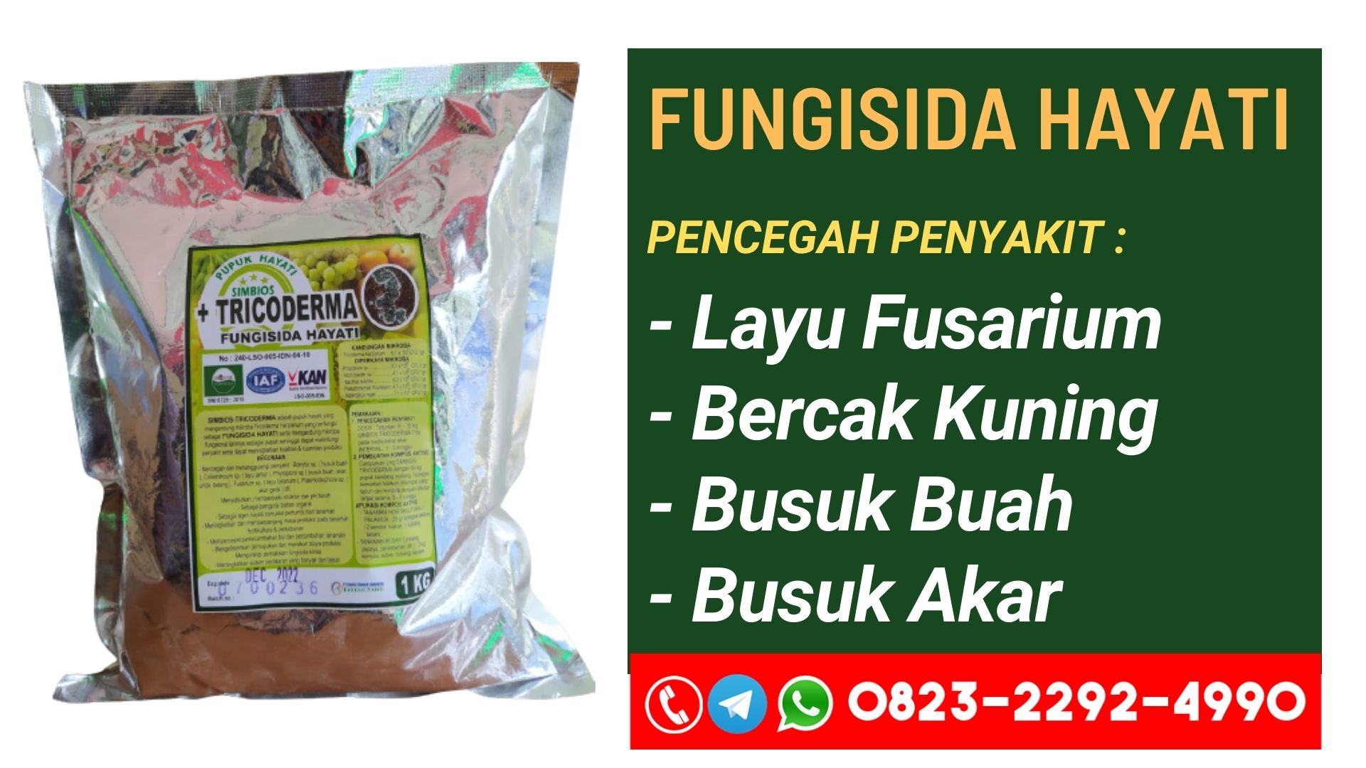 JUAL Pupuk pengertian layu fusarium Tebedu, GROSIR Pupuk layu fusarium cabai Entikong, Pupuk layu fusarium cabai pdf Serikin, Pupuk gejala layu fusarium cabai Bau, Pupuk layu fusarium pada cabai pdf, Pupuk penyakit layu fusarium cabai, Pupuk penyakit layu fusarium cabai, Pupuk mengatasi layu fusarium cabe, Pupuk obat layu fusarium cabai, Pupuk layu fusarium tanaman cabe rawit, Pupuk cara pengendalian layu fusarium