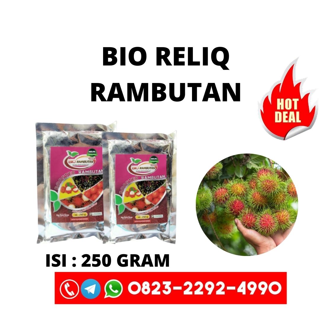 AGEN  buah rambutan botak Belitung Timur, HARGA pupuk pelebat buah dan anti rontok Manggar, PABRIK pupuk perangsang buah rambutan Kota Pangkal Pinang