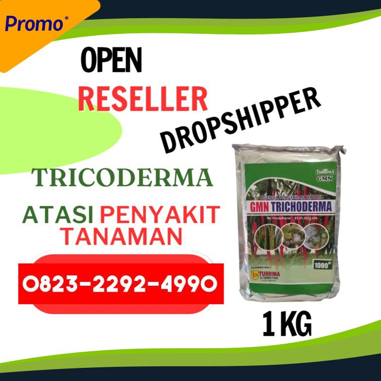 TERBAIK!!! TELP! 0823-2292-4990, JUAL Trichoderma untuk bawang merah Grobogan, AGEN Trichoderma untuk layu fusarium Kebumen, DISTRIBUTOR Trichoderma untuk hidroponik Pati