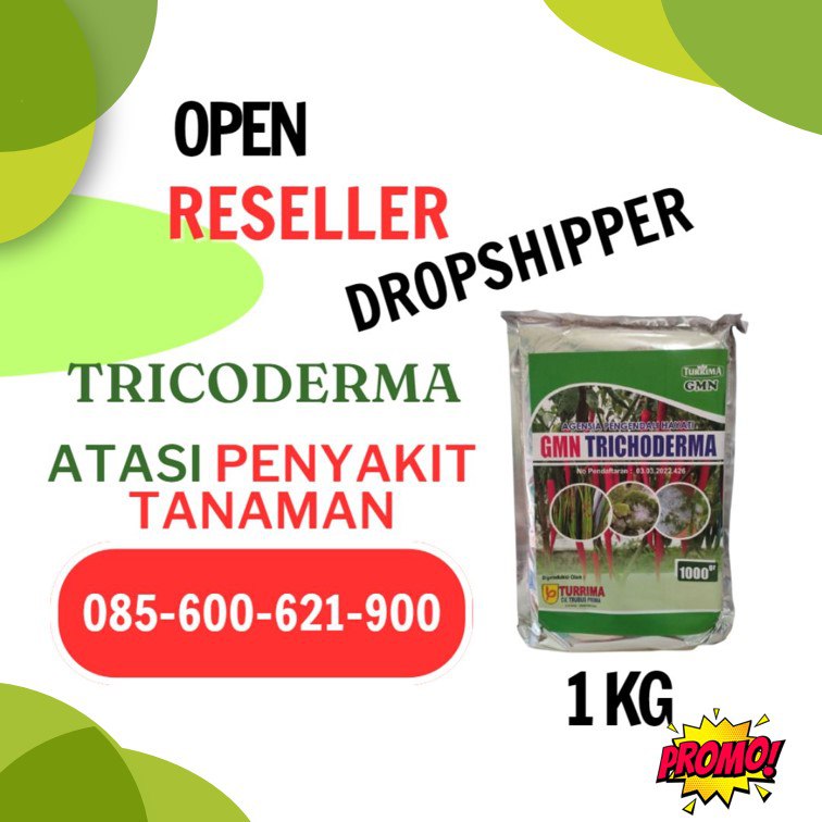 SEDANG PROMO! TELP! 0856-0062-1900, AGEN Trichoderma untuk tanaman cabe Labuhan Batu, TOKO Trichoderma untuk pepaya Mandailing Natal, SUPPLIER Trichoderma untuk perkebunan kelapa sawit Medan