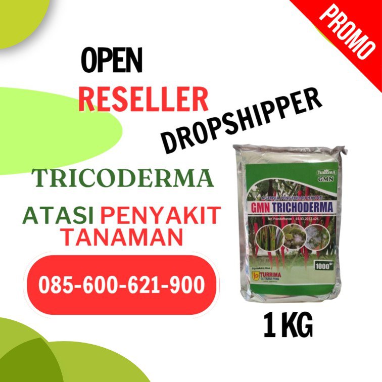 TERBAIK! TELP! 0856-0062-1900, DISTRIBUTOR Trichoderma untuk sawit Serdang Bedagai, AGEN Trichoderma untuk tanaman cabe Labuhan Batu, TOKO Trichoderma untuk pepaya Mandailing Natal