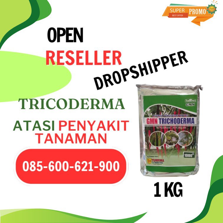 AMPUH!! TELP! 0856-0062-1900, AGEN Trichoderma untuk melon Asahan, DISTRIBUTOR Trichoderma untuk sawit Serdang Bedagai, AGEN Trichoderma untuk tanaman cabe Labuhan Batu