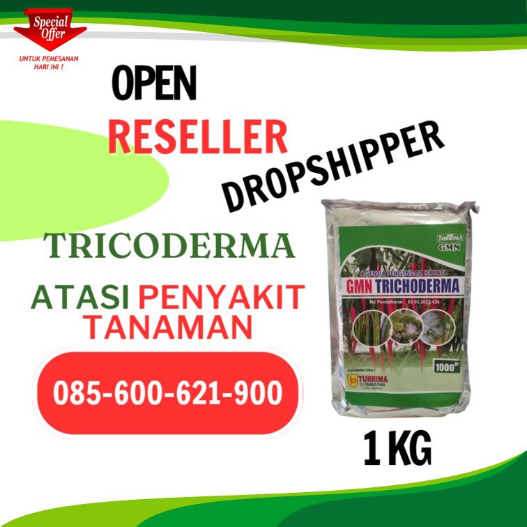 HARGA KHUSUS! TELP! 0856-0062-1900, GROSIR Trichoderma untuk padi Langkat, HARGA Trichoderma untuk pisang Simalungun, AGEN Trichoderma untuk melon Asahan