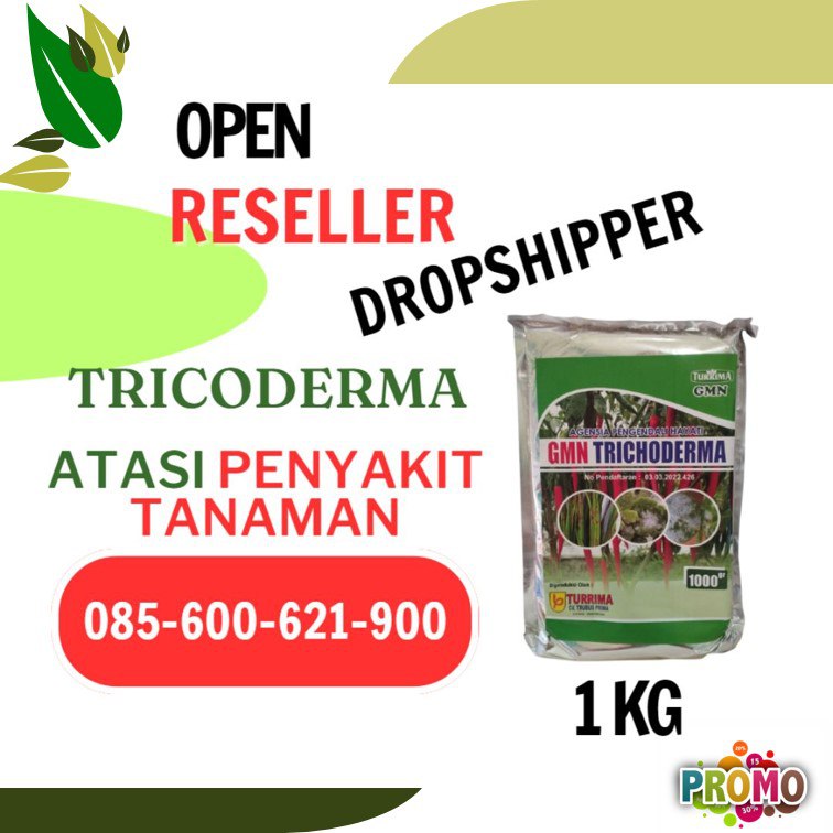 SEDANG DISKON! TELP! 0856-0062-1900, JUAL Trichoderma untuk tanaman Deli Serdang, GROSIR Trichoderma untuk padi Langkat, HARGA Trichoderma untuk pisang Simalungun