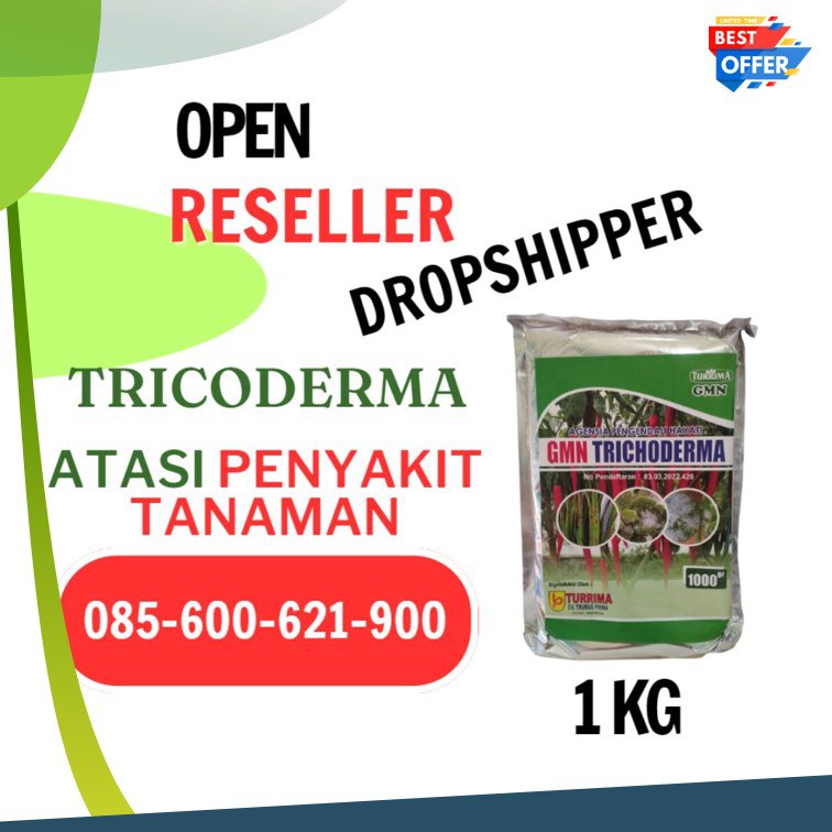 AMPUH!! TELP! 0856-0062-1900, JUAL Trichoderma untuk cabe Langkat, GROSIR Trichoderma untuk tanaman Simalungun, HARGA Trichoderma untuk padi Asahan