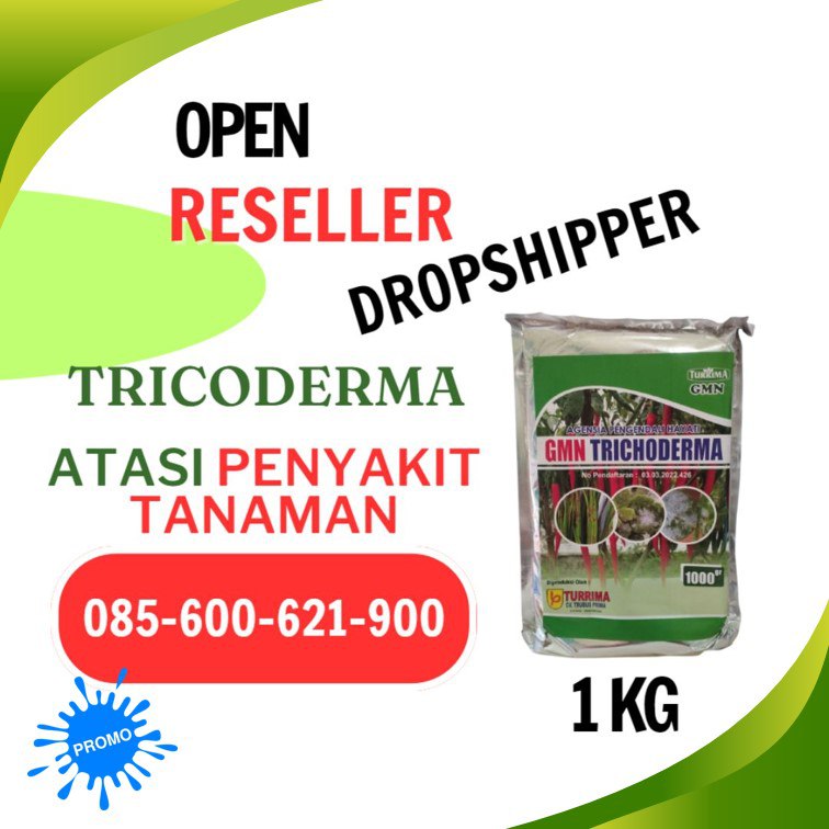 ALAMI! TELP! 0856-0062-1900, PABRIK Trichoderma untuk perkebunan sawit Deli Serdang, JUAL Trichoderma untuk cabe Langkat, GROSIR Trichoderma untuk tanaman Simalungun