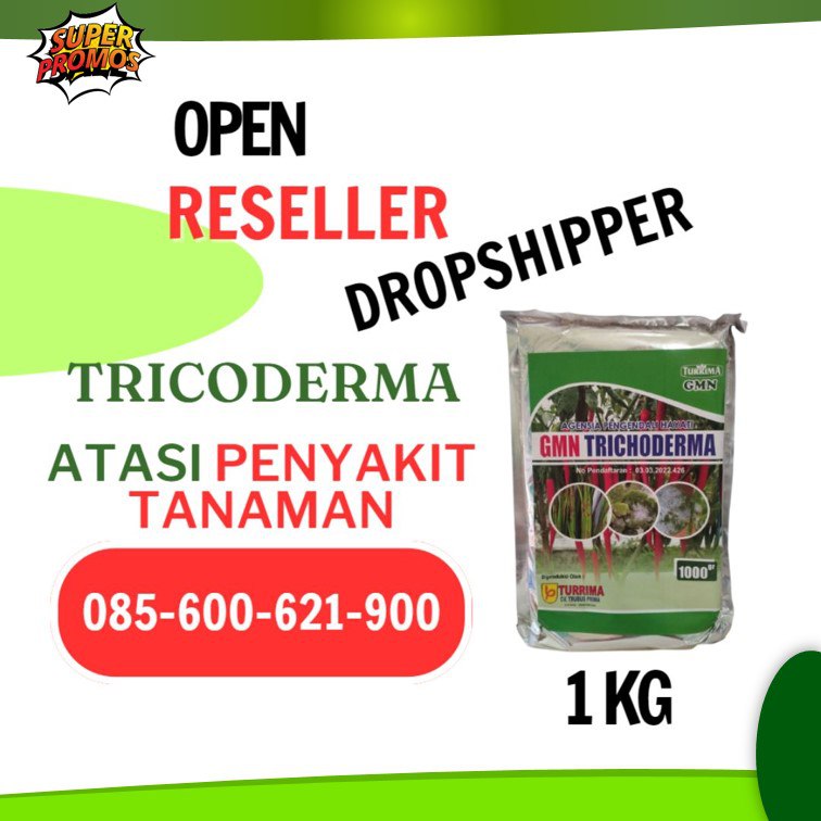 SEDANG DISKON! TELP! 0856-0062-1900, TOKO Trichoderma untuk pepaya Mandailing Natal, SUPPLIER Trichoderma untuk perkebunan kelapa sawit Medan, PABRIK Trichoderma untuk perkebunan sawit Deli Serdang