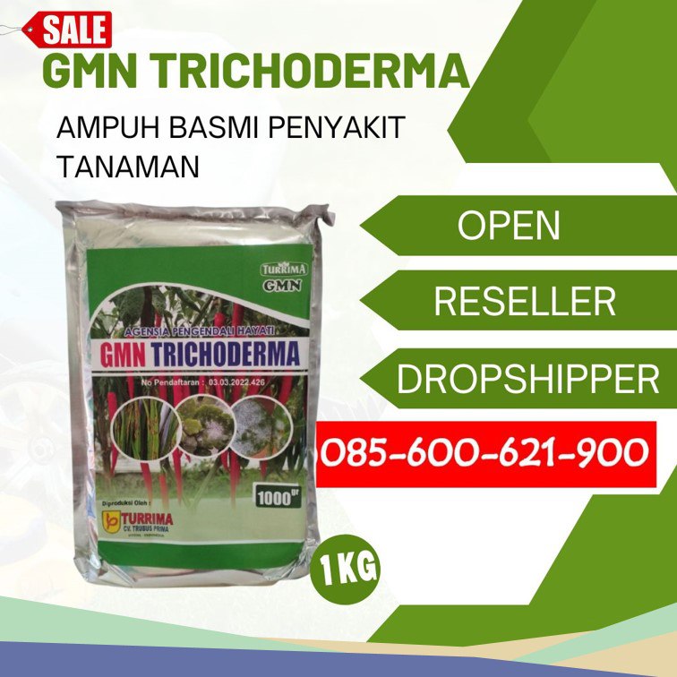 SEDANG PROMO!!! TELP! 0856-0062-1900, PABRIK Obat cabe keriting Kota Padang, JUAL Obat cabe daun kuning Agam, GROSIR Obat cabe layu mati Pesisir Selatan