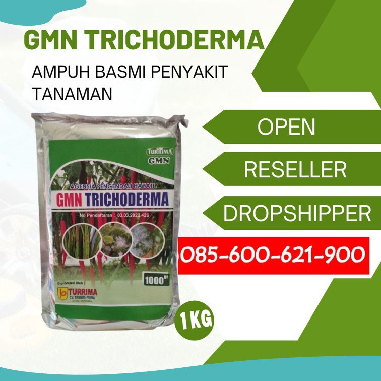 AMPUH!!! TELP! 0856-0062-1900, AGEN Obat cabe paling bagus Padang Pariaman, DISTRIBUTOR Obat cabe bule Solok, AGEN Obat cabe busuk Lima Puluh Kota