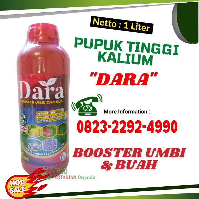 AMPUH!!! TELP! 0823-2292-4990, PABRIK Pupuk umbi bawang merah Kota Makassar, JUAL Pupuk umbi Bone, AGEN Pupuk pembesar umbi terbaik Gowa