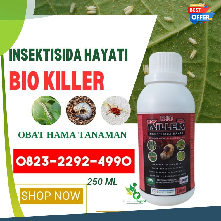 ALAMI!!! TELP! 0823-2292-4990, PABRIK Obat hama padi Kota Makassar, JUAL Obat hama daun alpukat Bone, AGEN Obat hama wereng padi paling ampuh Gowa