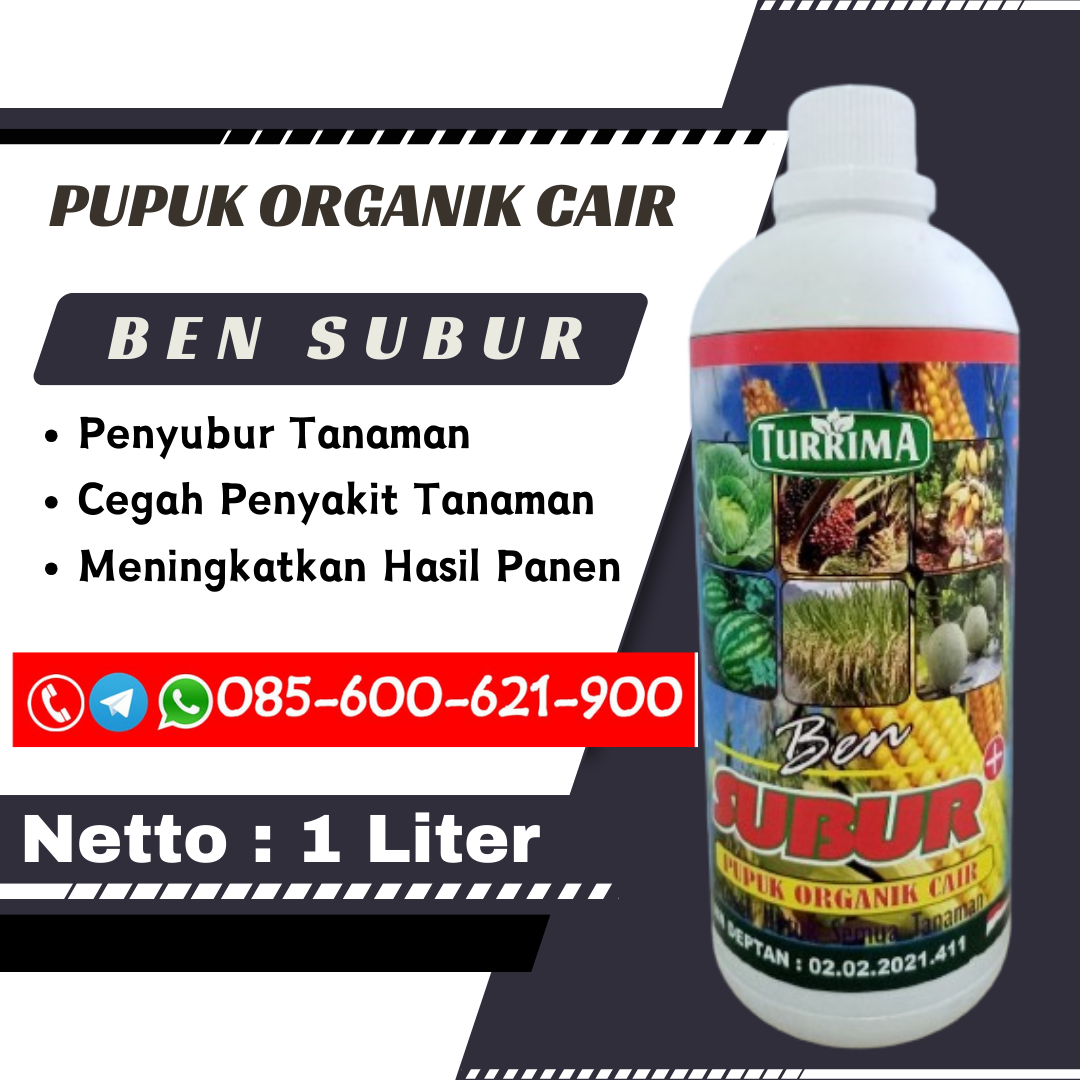 TERBAIK.085-600-621-900, Harga pupuk organik cair untuk cabe Tapak Tuan, Agen pupuk organik cair untuk durian Aceh Singkil, Distributor pupuk organik cair untuk anggrek Lhoksukon