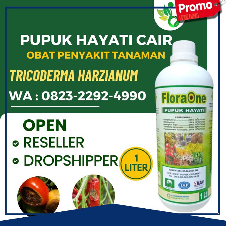 SEDANG DISKON!!! TELP! 0823-2292-4990, DISTRIBUTOR Obat layu fusarium Brebes, PROMO Obat layu fusarium pada tomat Cilacap, TOKO Obat layu fusarium cabe Banyumas