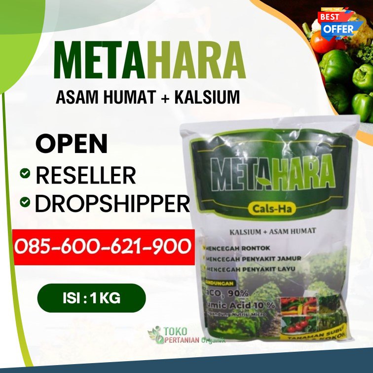 SEDANG PROMO!!! TELP! 0856-0062-1900, GROSIR Pupuk kalsium untuk buah Lampung Timur, HARGA Pupuk kalsium untuk semangka Kota Bandar Lampung, AGEN Pupuk kalsium untuk tanaman Lampung Selatan