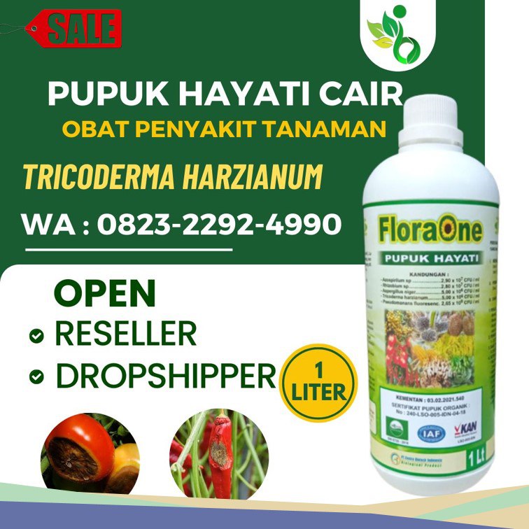 HARGA KHUSUS!!! TELP! 0823-2292-4990, PROMO Obat layu fusarium pada tomat Cilacap, TOKO Obat layu fusarium cabe Banyumas, SUPPLIER Obat layu fusarium pada pisang Kota Semarang