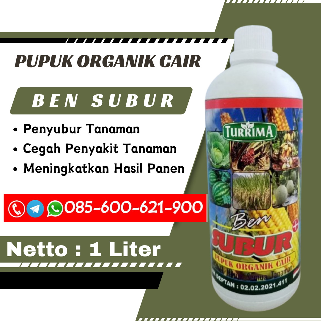 REKOMENDED.085-600-621-900, Distributor pupuk organik cair untuk bawang merah Kota Sabang, Jual pupuk organik cair untuk padi Banda Aceh, Harga pupuk organik cair untuk cabe Tapak Tuan