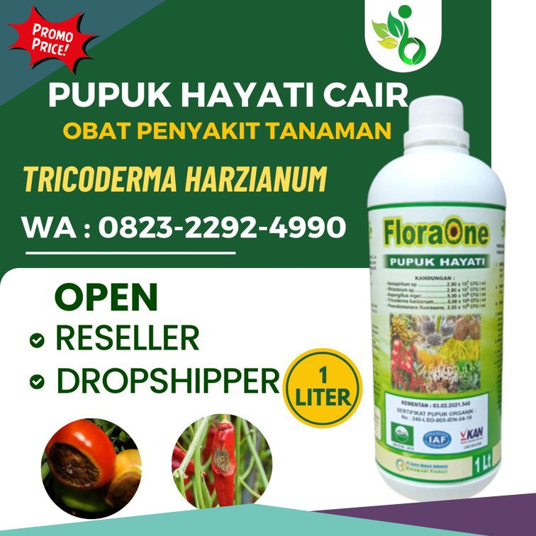 ALAMI!!! TELP! 0823-2292-4990, TOKO Obat layu fusarium cabe Banyumas, SUPPLIER Obat layu fusarium pada pisang Kota Semarang, PABRIK Obat layu fusarium pada bawang merah Tegal