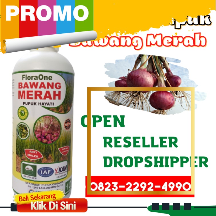 TERBARU!!! TELP 0823-2292-4990, Agen pupuk dasar tanaman bawang merah Meulaboh, Produsen pupuk untuk tanaman bawang Aceh Barat Daya, Supplier pupuk buat tanaman bawang daun Blangpidie