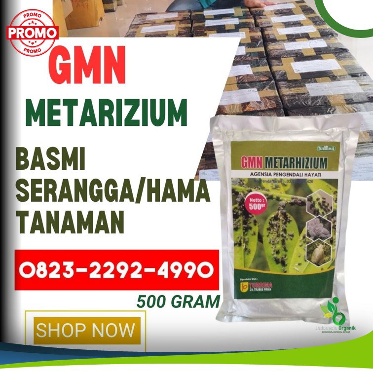 SUBUR!!!0823-2292-4990, Jual obat hama jeruk Menggala, Harga obat hama jambu air Tanggamus, Agen obat hama jagung paling ampung Kota Agung