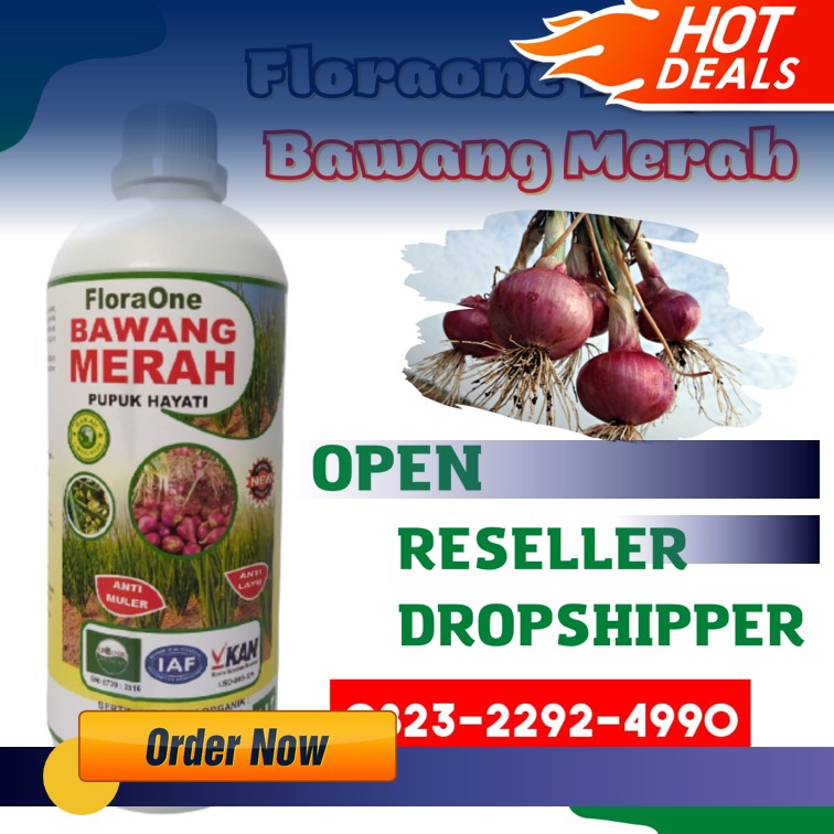 TERBAIK!!! TELP 0823-2292-4990, Produsen pupuk untuk bawang merah musim hujan Aceh Utara, Supplier pupuk untuk bawang prei Lhoksukon, Pabrik pupuk untuk bawang merah kerdil Bireuen