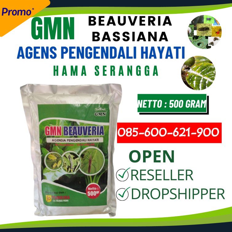 TERBAIK!!!085-600-621-900, Produsen obat hama untuk padi Mangupura, Supplier obat hama untuk anggrek Bangli, Pabrik obat hama untuk tanaman semangka Buleleng