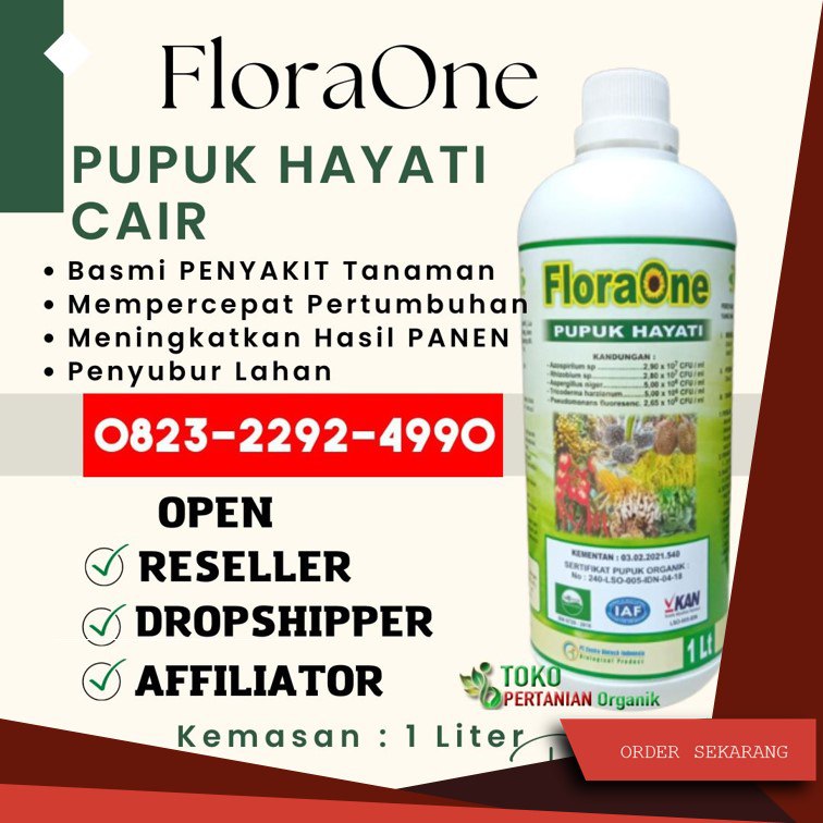 SEDANG PROMO!!! TELP! 0823-2292-4990, TOKO Pupuk Padi ST Bagendit Pasaman Barat, SUPPLIER Pupuk Padi Inpari 32 Solok, PENYEDIA Pupuk Padi Inpari 42 Lima Puluh Kota