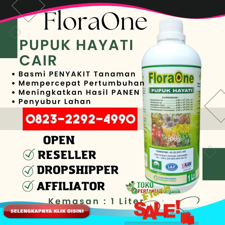 ORGANIK!!! TELP! 0823-2292-4990, PENYEDIA Pupuk Padi Inpari 42 Lima Puluh Kota, PABRIK Pupuk Padi Inpari 49 Tanah Datar, JUAL Pupuk Padi Cakrabuana Pasaman