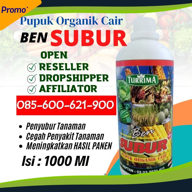 PROMO AMBYAR!!! TELP! 0856-0062-1900, DISTRIBUTOR pupuk organik padi Kupang, PRODUSEN pupuk organik padi sawah Sikka, TOKO pupuk organik untuk padi Manggarai