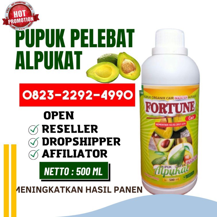 SEDANG PROMO!!! TELP! 0823-2292-4990, TOKO pupuk alpukat saat berbunga Dairi, SUPPLIER pupuk alpukat agar cepat besar Samosir, PENYEDIA pupuk alpukat masa vegetatif Tapanuli Selatan