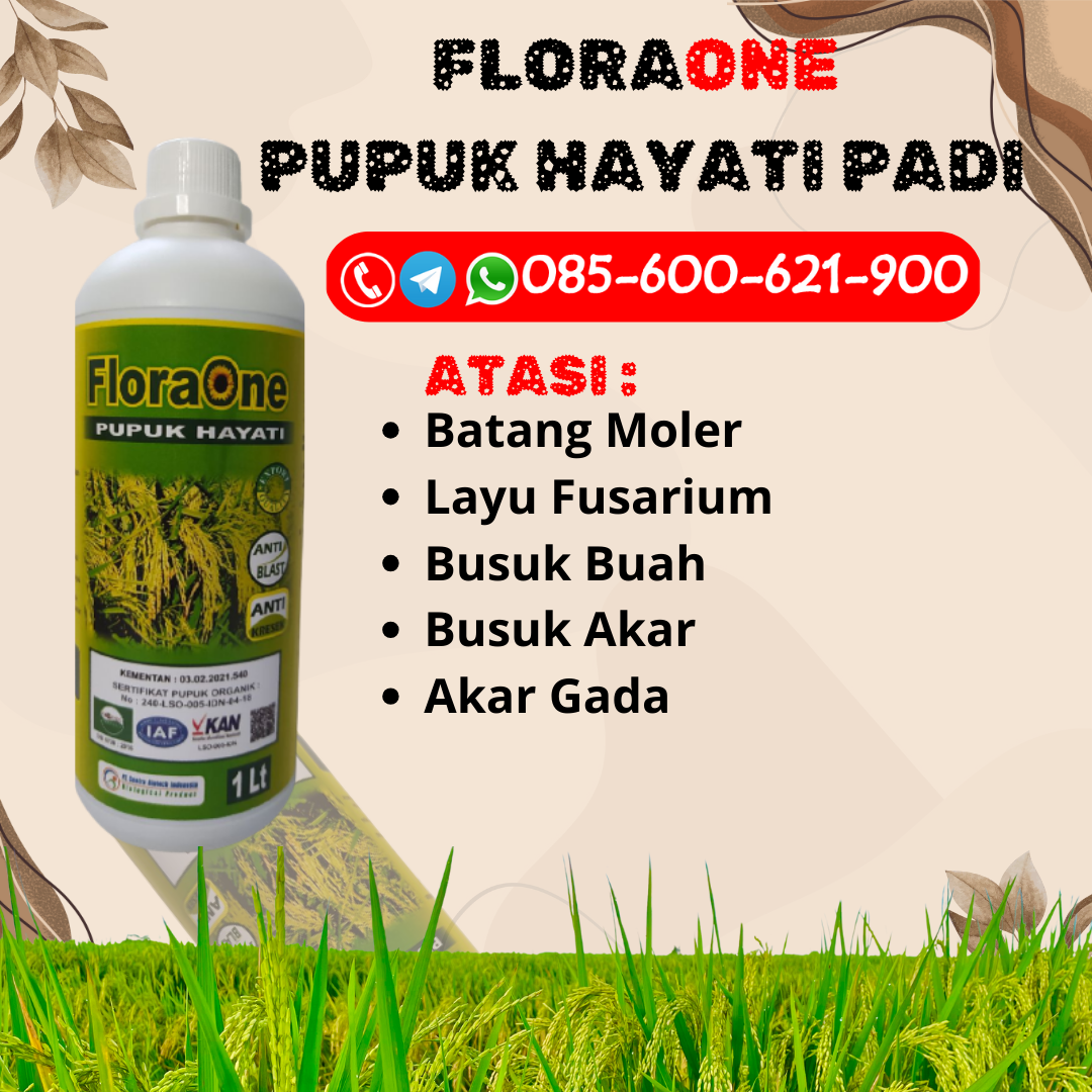 PROMO!!!085-600-621-913, DISTRIBUTOR pupuk cair padi yang bagus Karanganyar, TOKO pupuk cair padi super Sukoharjo, PUSAT pupuk organik cair padi Klaten