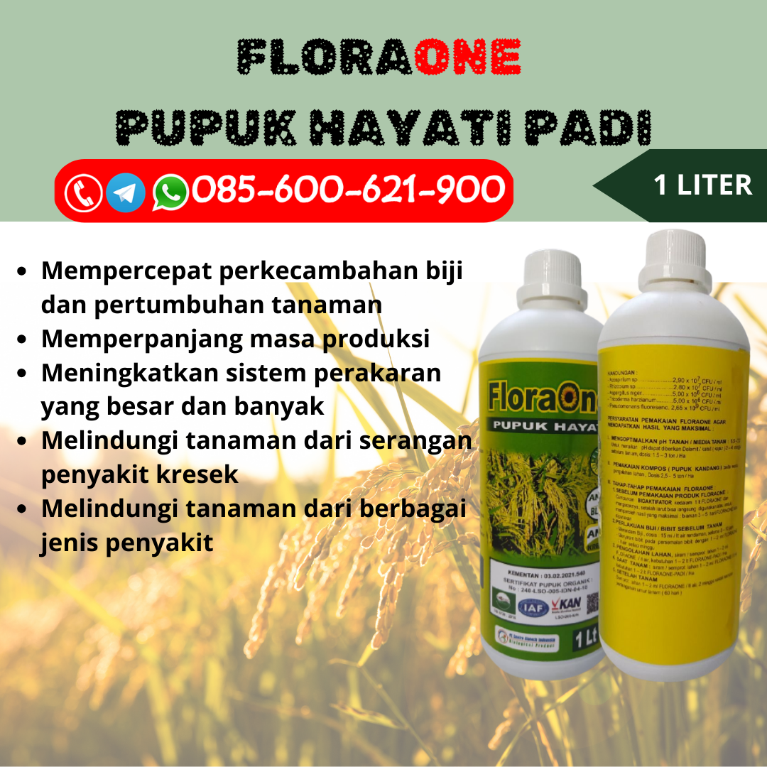 DISKON!!!085-600-621-914, TOKO pupuk cair padi super Sukoharjo, PUSAT pupuk organik cair padi Klaten, GROSIR harga pupuk cair padi Kudus