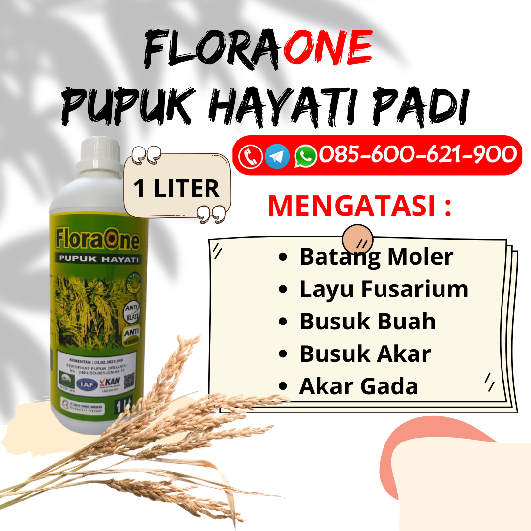 PROMO!!!085-600-621-915, PUSAT pupuk organik cair padi Klaten, GROSIR harga pupuk cair padi Kudus, JUAL cara pupuk padi hasil melimpah Grobogan