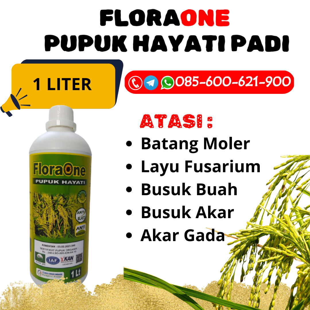 TERLARIS!!!085-600-621-919, AGEN pupuk padi dari awal sampai akhir Brebes, PRODUSEN pupuk daun padi yang bagus Pati, PABRIK pupuk daun padi masa generatif Sragen