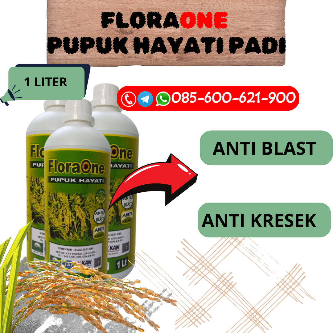 BERKUALITAS!!!085-600-621-921, PABRIK pupuk daun padi masa generatif Sragen, SUPPLIER pupuk hayati padi Demak, DISTRIBUTOR pupuk hama padi Karanganyar