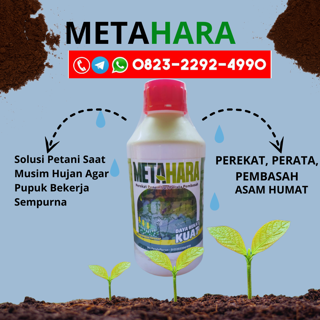 PROMO!!!0823-2292-4990, HARGA pupuk perekat buah Pesisir Selatan, AGEN pupuk perekat buah durian Aceh Tengah, PRODUSEN pupuk perekat buah cabe Lampung Barat