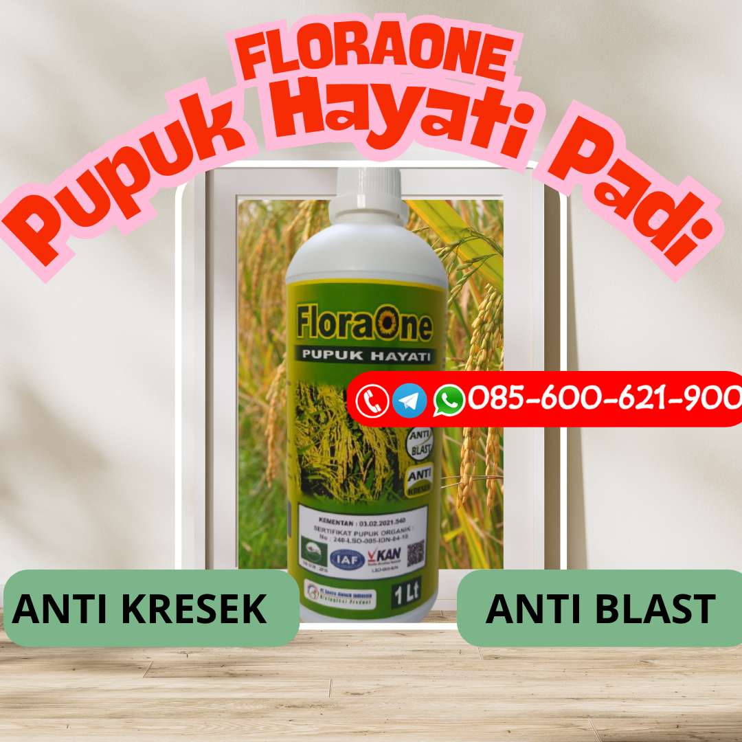 DISKON!!!085-600-621-925, PUSAT jenis pupuk padi Klaten, GROSIR jual pupuk padi Kudus, JUAL jenis pupuk padi dan fungsinya Grobogan