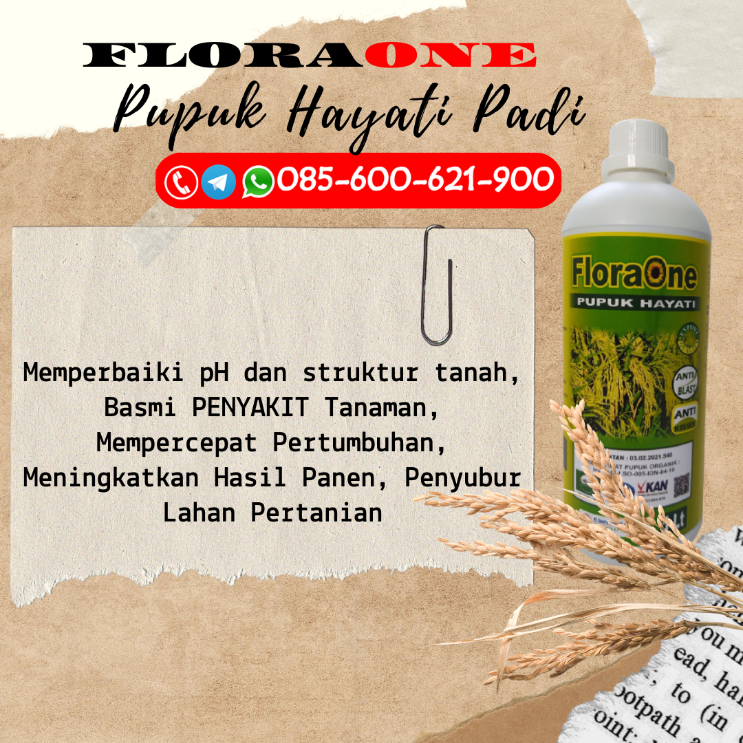 PROMO!!!085-600-621-926, GROSIR jual pupuk padi Kudus, JUAL jenis pupuk padi dan fungsinya Grobogan, HARGA jenis pupuk padi sawah Blora