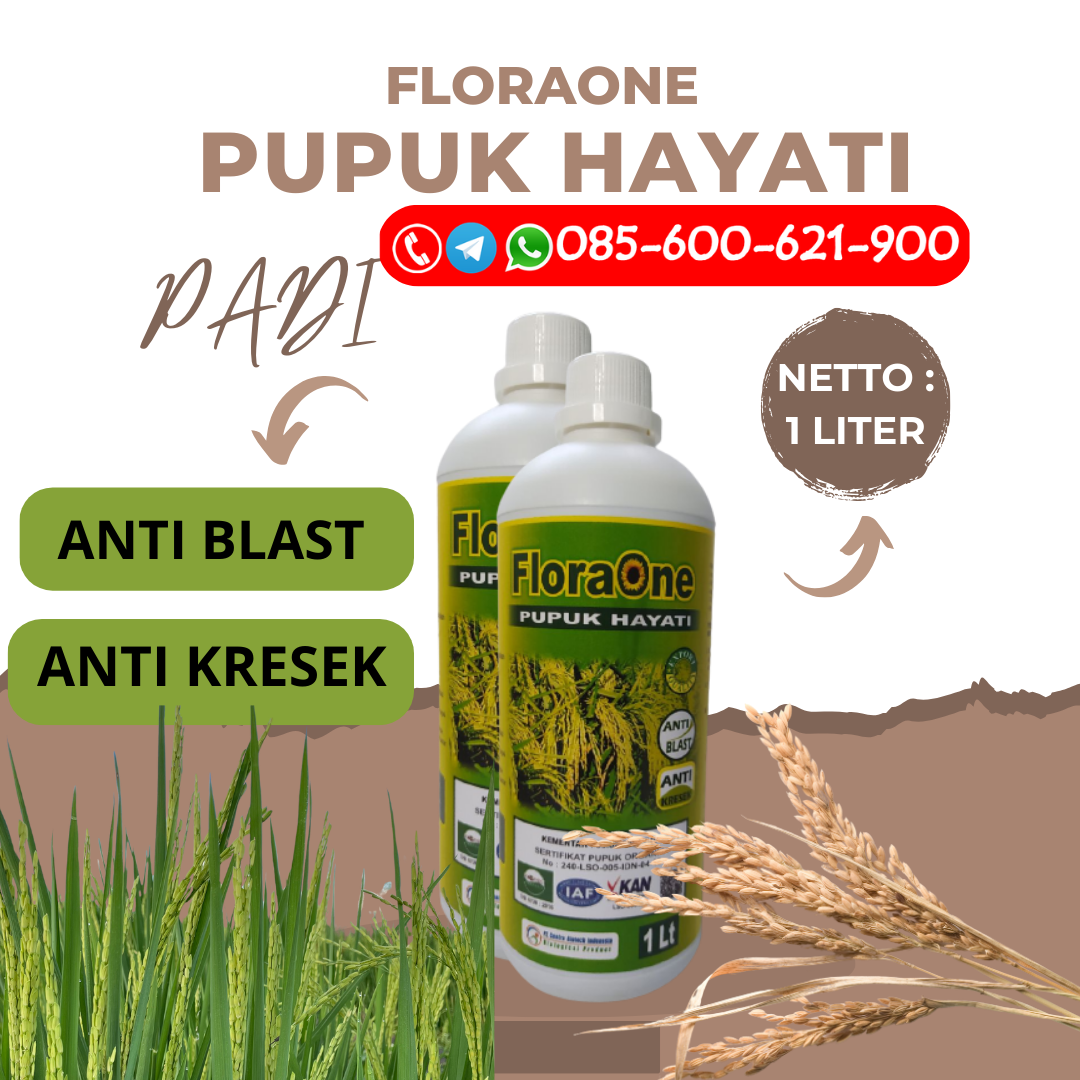 TERBUKTI!!!085-600-621-930, PRODUSEN jenis pupuk untuk padi Pati, PABRIK pupuk padi supaya berbuah lebat Sragen, SUPPLIER pupuk padi musim kemarau Demak