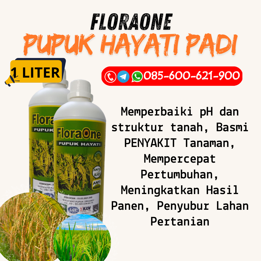 ALAMI!!!085-600-621-936, GROSIR pupuk padi organik Kudus, JUAL pupuk organik padi yang bagus Grobogan, HARGA pupuk organik padi sawah Blora